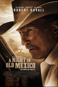 A Night in Old Mexico FRENCH DVDRIP x264 2014