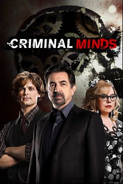 Esprits criminels S15E06 FRENCH HDTV