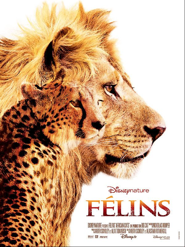 Félins FRENCH HDLight 1080p 2011