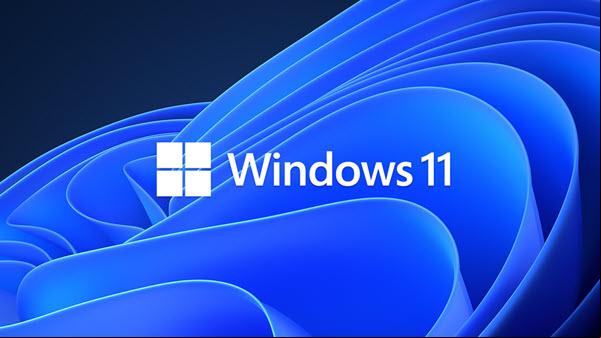 MICROSOFT WINDOWS 11 PRO V10.0.22000.318