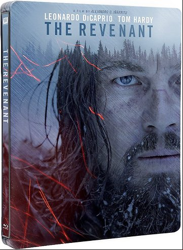 The Revenant FRENCH BluRay 1080p 2016