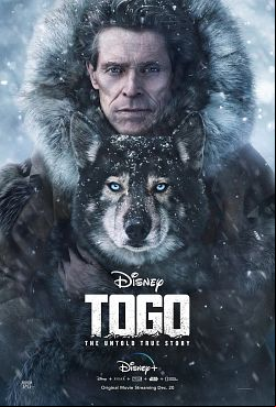 Togo FRENCH WEBRIP 2019