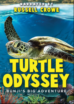 Turtle Odyssey FRENCH BluRay 1080p 2019